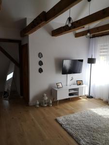 Apartament Attic