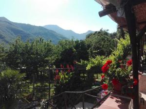 Casa Panoramica Vintage