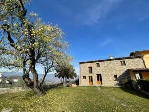 Affittacamere Il Vecchio Mandorlo - 夸拉塔