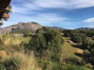 Appartements U monte d Oru : photos des chambres