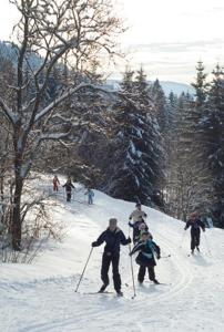 Chalets CHALET VERT : photos des chambres