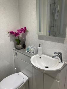 Rooftops - bijou sister apartment to Assembly View - free parking permit provided