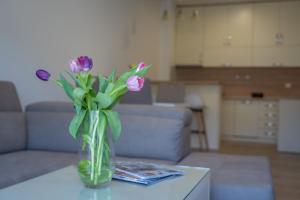 Andjelas Place with Sea View