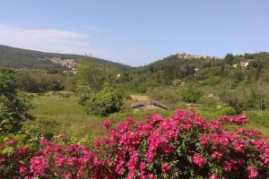 Villa Emily, soothing experience, perfect getaway