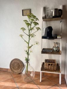 Is Scabas Guestrooms img80