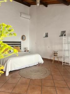 Is Scabas Guestrooms img79