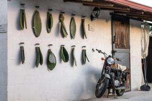 Masseria Bio - Agriturismo Villa Grazia