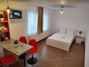 GARSONIERA DANIA&PETRU - 特尔古奥克纳