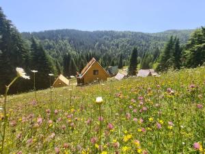 Eko Katun Bungalows Jelovica