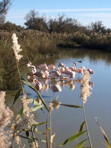 B&B / Chambres d'hotes Le Verger : photos des chambres