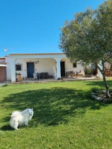 LU ANTU alloggi agrituristici img32