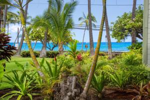 OUTSTANDING OCEANFRONT STUDIO - KONA ISLANDER INN CONDOS condo