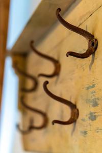 Les Nids Perchés - Rue Sainte Croix