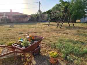 Beautiful Istrian house with big backyard