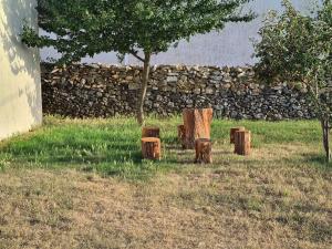 Beautiful Istrian house with big backyard
