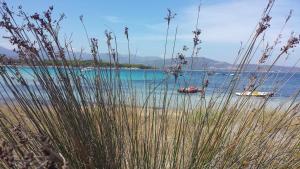 Hotel Cala Mirto img71