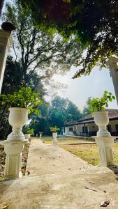 Clover Grange Home Stay