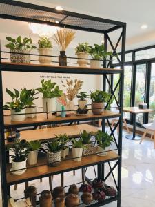 Villa Thai Orchid (adult only)