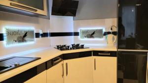 APARTMENT LUXURY OASIS Śródmieście DOWNTOWN 3 os