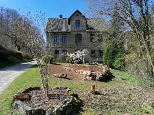 Lippolds Stube - 阿尔费尔德