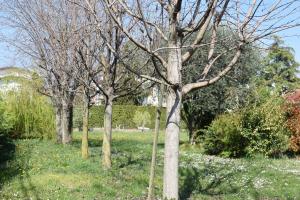 Appartement - Vue sur Jardin