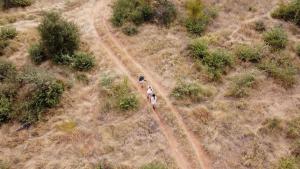 Timbavati, Greater Kruger National Park, Limpopo, South Africa.