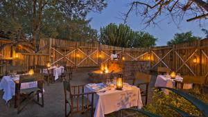 Timbavati, Greater Kruger National Park, Limpopo, South Africa.