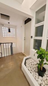 D-08NOVAGA DOWNTOWN CANCUN