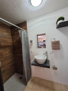 D-08NOVAGA DOWNTOWN CANCUN