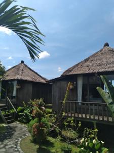 Biệt Thự Nhìn Ra Vườn (Villa with Garden View)