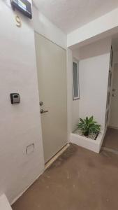 D-06 Novaga Downtown Cancun