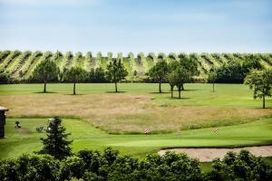 Hotels Chateau des Vigiers : photos des chambres