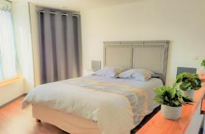 Appartements CHARMANT F1 bis atypique : photos des chambres