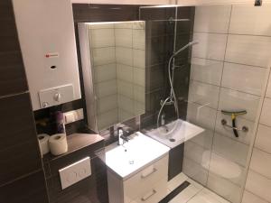 Apartament Sikornik