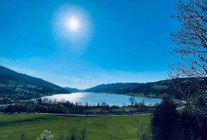 Fewo Ferienpark mit Swimmingpool und Aussicht 15