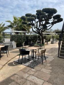 Hotels Hotel Le Martray : photos des chambres