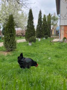 Heritage kuća za odmor