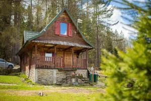 Domek Lesinówka - Przysłup