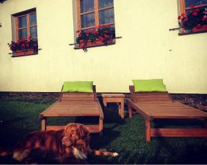 Horský apartmán Zvonička