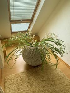 Ferienwohnung Toni