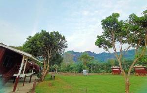 ผาผึ้ง Neverland