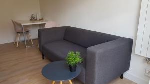 T-Rots, prachtig zomerhuis