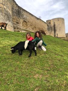 Sejours a la campagne GITES CURCUMA et COMPAGNIE : photos des chambres
