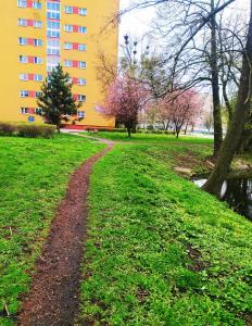 Apartament Alicja