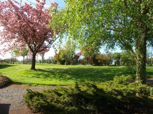 B&B / Chambres d'hotes Mis Harand : Chambre Lit Queen-Size - Vue sur Jardin