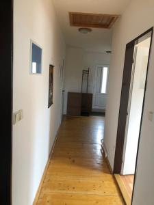 Apartmán pod Lázněma