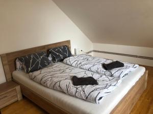 Apartmán pod Lázněma