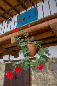 Aperanti Agrotourism