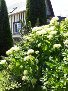 Maisons de vacances Gite 'les matins calmes ' : photos des chambres