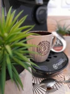 Appartements Appartement neuf de 30 m2 au coeur de palavas Classe 2 etoiles : photos des chambres